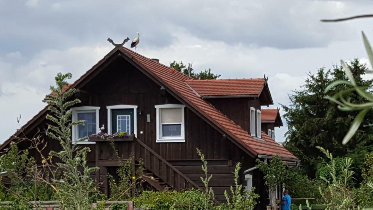 Spreewaldhaus Zum Schoberplatz Apartment Lübben Екстериор снимка