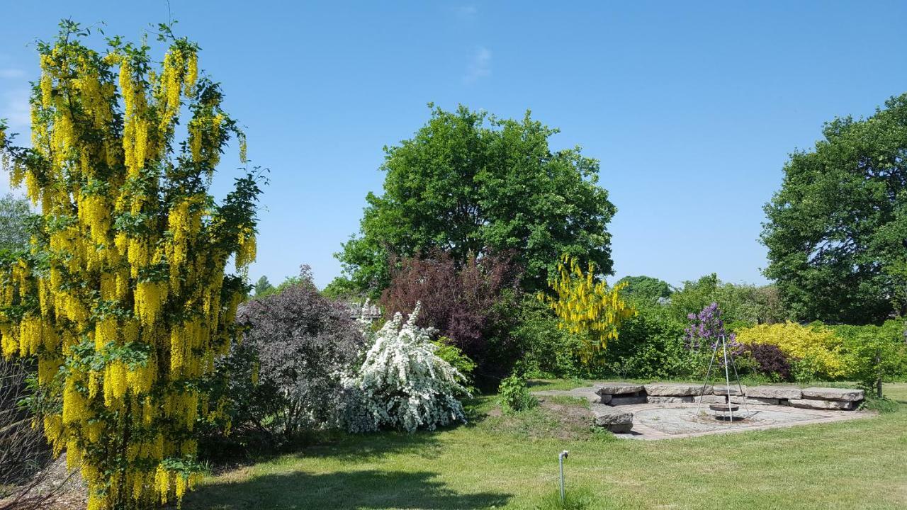 Spreewaldhaus Zum Schoberplatz Apartment Lübben Екстериор снимка